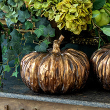 Load image into Gallery viewer, Bronze Heirloom Pumpkin
