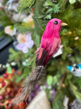 Load image into Gallery viewer, 12" Feather Aviary Longtail Bird