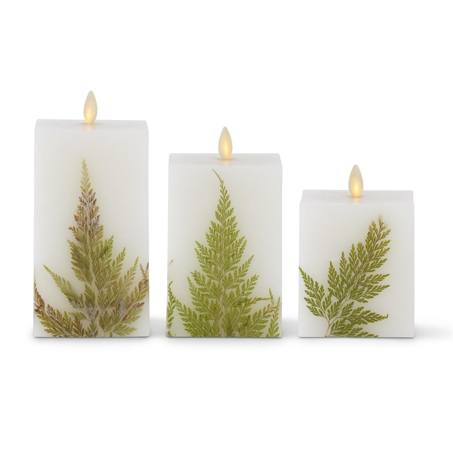 WH Wax Fern Luminara SM Indoor Square Candle – The Robin's Noel