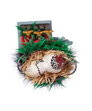 Load image into Gallery viewer, 15"Hollywood Farmer Nutcracker
