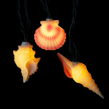 Load image into Gallery viewer, 10/L Conch &amp; Shells Light Set
