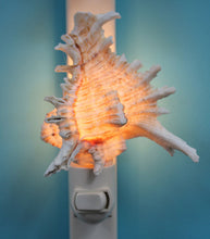 Load image into Gallery viewer, Ramosa Murex Seashell Night Light
