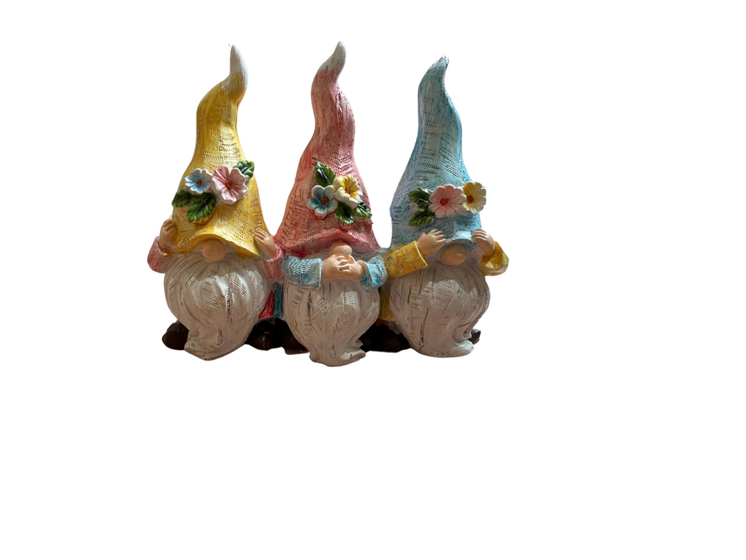 HSS No Gnome
