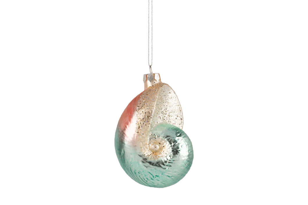 Nautilus Seashell Orn.