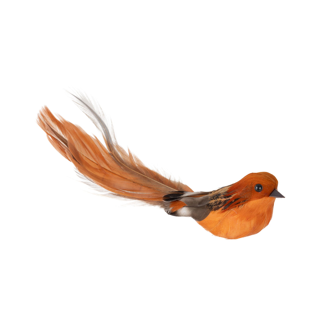 Burnt OR Feather Clip On Bird Orn.