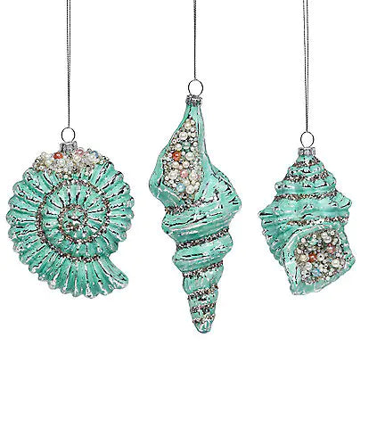 Seashell Ornament, Turquoise