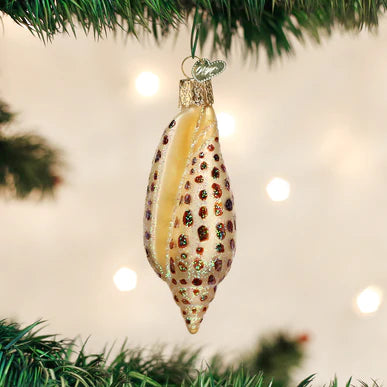 Junonia Shell