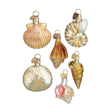 Load image into Gallery viewer, Sea Shell XMas Ornament Set
