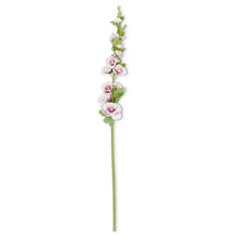 Load image into Gallery viewer, 43&quot; Hollyhock Stem
