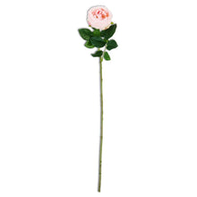Load image into Gallery viewer, 24&quot; Real Touch Austin Rose Stem
