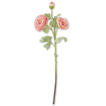 Load image into Gallery viewer, 25&quot; Real Touch Triple Bloom Ranunculus Stem
