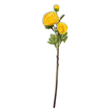Load image into Gallery viewer, 25&quot; Real Touch Triple Bloom Ranunculus Stem
