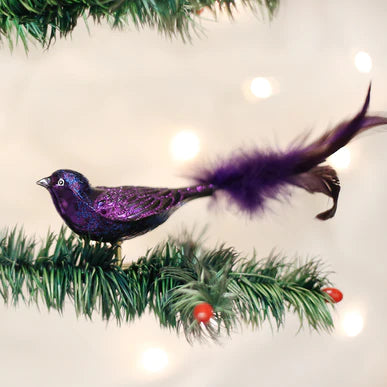 Purple Martin