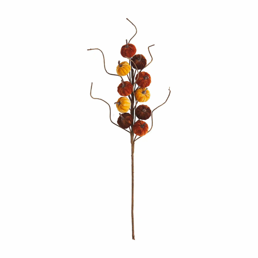 Harvest Velvet Pumpkin Stem