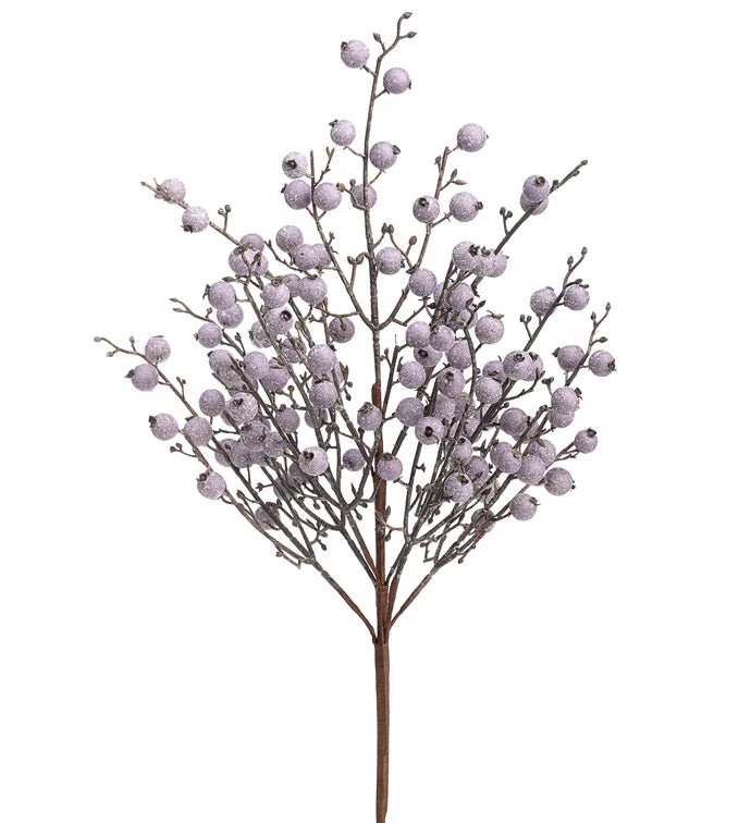 Lavender Berry Bush