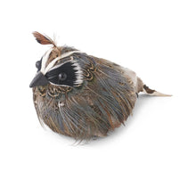 Load image into Gallery viewer, Feathered Quail
