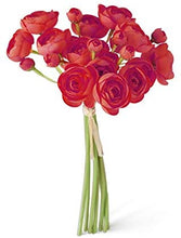 Load image into Gallery viewer, 11&quot; Red Mini Ranunculus Bundle
