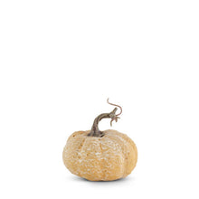 Load image into Gallery viewer, 3.75&quot; Whitewashed Textured Pumpkin
