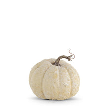 Load image into Gallery viewer, 5.25&quot;  Whitewashed Textured Pumpkin
