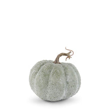 Load image into Gallery viewer, 5.25&quot;  Whitewashed Textured Pumpkin
