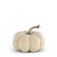 Load image into Gallery viewer, 5.5&quot; Whitewashed Textured Pumpkin
