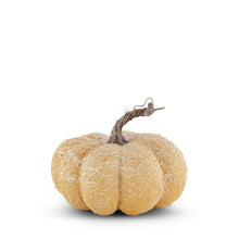 Load image into Gallery viewer, 5.5&quot; Whitewashed Textured Pumpkin
