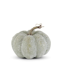 Load image into Gallery viewer, 6.25&quot; Whitewashed Textured Pumpkin
