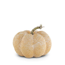 Load image into Gallery viewer, 6.25&quot; Whitewashed Textured Pumpkin
