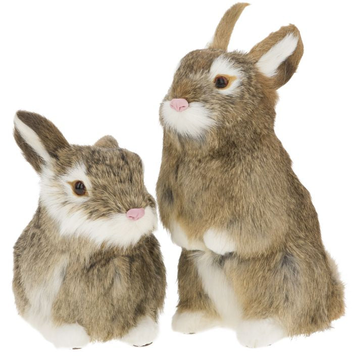 RABBIT 6-9''