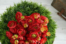 Load image into Gallery viewer, 11&quot; Red Mini Ranunculus Bundle
