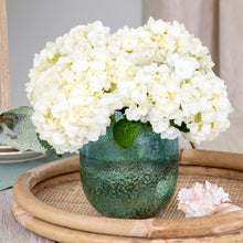 Load image into Gallery viewer, Seaside Glass Vase
