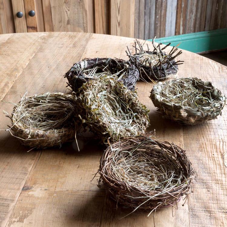 Nest
