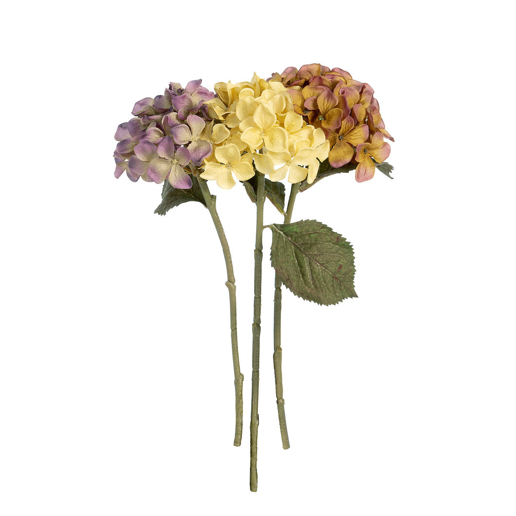 Dried Hydrangea Cutting Autumn Mix