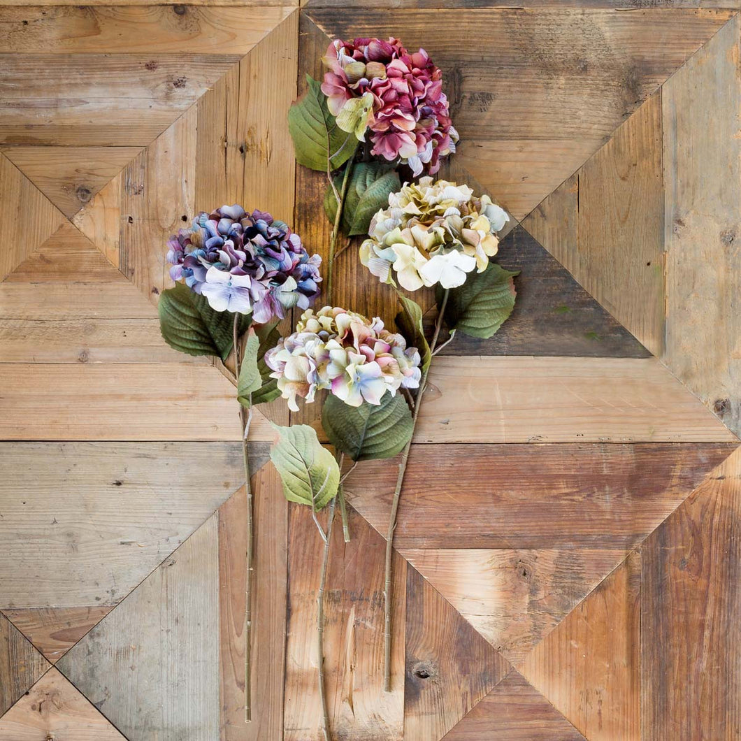 Fall Garden Hydrangeas