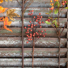 Load image into Gallery viewer, Fall Berry Stem

