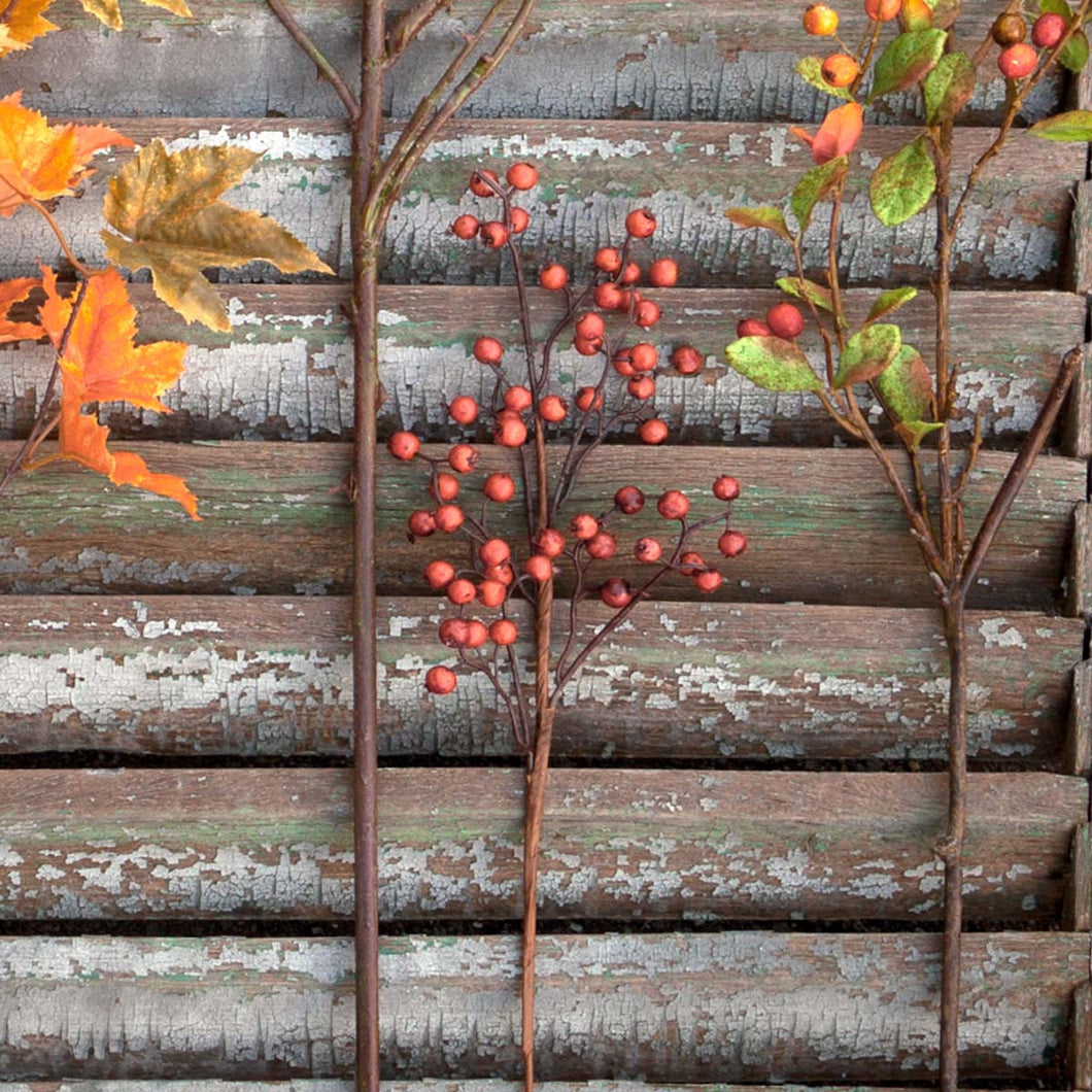 Fall Berry Stem