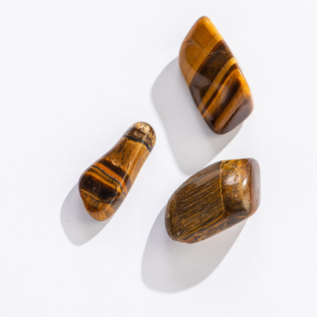Tiger Eye 1