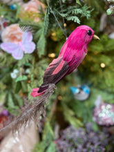 Load image into Gallery viewer, 12&quot; Feather Aviary Longtail Bird
