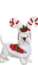Load image into Gallery viewer, Christmas Dogs 14&quot; by Mark Roberts
