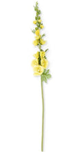Load image into Gallery viewer, 43&quot; Hollyhock Stem
