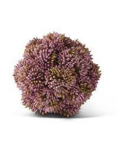 Load image into Gallery viewer, 4&quot; Sedum Ball
