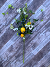 Load image into Gallery viewer, 17&quot; Flowering Lemon &amp; Blueberry Pick
