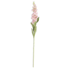Load image into Gallery viewer, 30&quot; Stock Flower Stem

